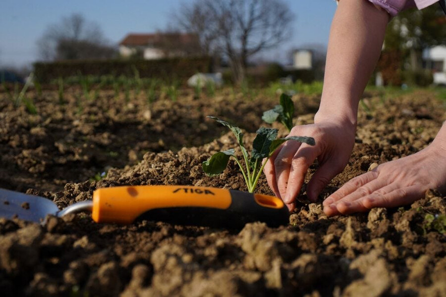 gartenhandgerät - pflanzkelle